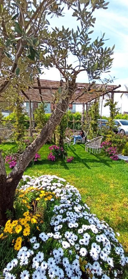 La Villa Degli Dei - Guest House كاستيلاّماري دي ستا المظهر الخارجي الصورة