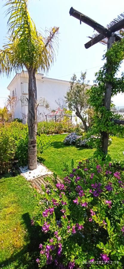 La Villa Degli Dei - Guest House كاستيلاّماري دي ستا المظهر الخارجي الصورة