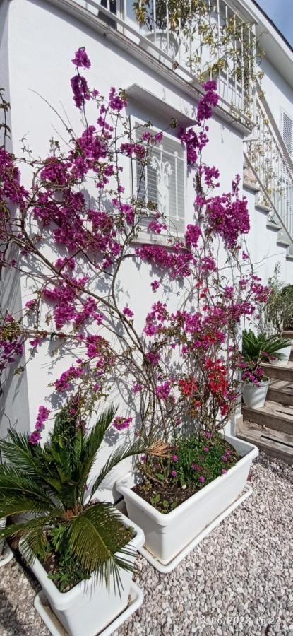 La Villa Degli Dei - Guest House كاستيلاّماري دي ستا المظهر الخارجي الصورة